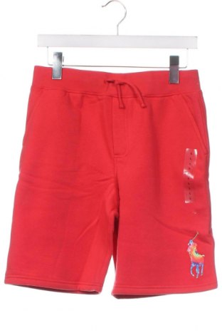 Pantaloni scurți pentru copii Polo By Ralph Lauren, Mărime 15-18y/ 170-176 cm, Culoare Roșu, Preț 148,42 Lei