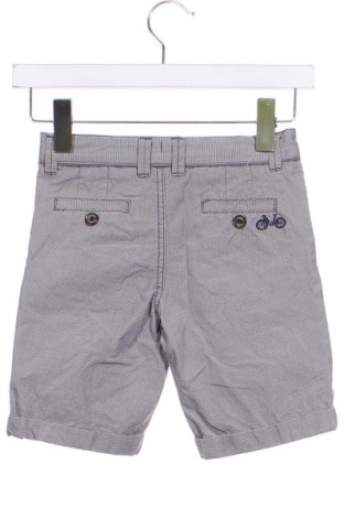 Παιδικό κοντό παντελόνι Ted Baker, Μέγεθος 6-7y/ 122-128 εκ., Χρώμα Γκρί, Τιμή 15,68 €