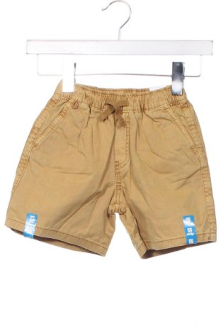 Детски къс панталон Zara, Размер 5-6y/ 116-122 см, Цвят Кафяв, Цена 19,00 лв.
