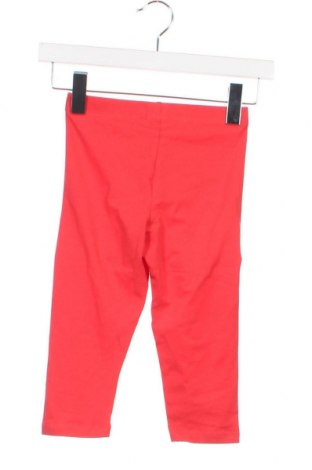 Dziecięce legginsy Pocopiano, Rozmiar 6-7y/ 122-128 cm, Kolor Czerwony, Cena 23,73 zł