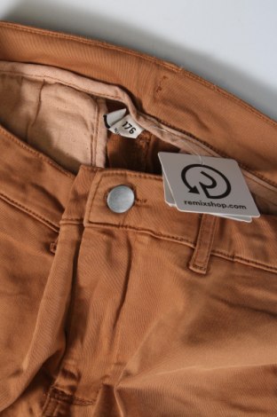 Детски панталон WE, Размер 15-18y/ 170-176 см, Цвят Кафяв, Цена 5,25 лв.