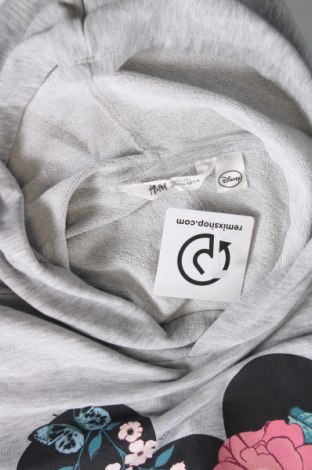 Kinder Sweatshirts H&M, Größe 12-13y/ 158-164 cm, Farbe Grau, Preis € 11,25