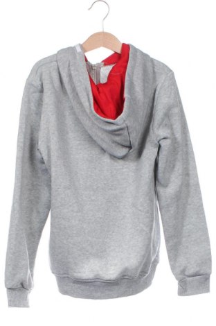 Kinder Sweatshirts Lee Cooper, Größe 12-13y/ 158-164 cm, Farbe Grau, Preis 9,11 €