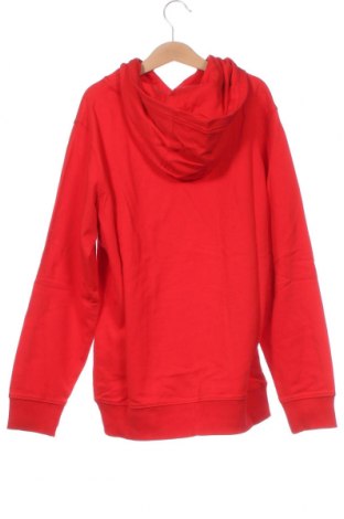 Kinder Sweatshirts Napapijri, Größe 11-12y/ 152-158 cm, Farbe Rot, Preis € 39,26