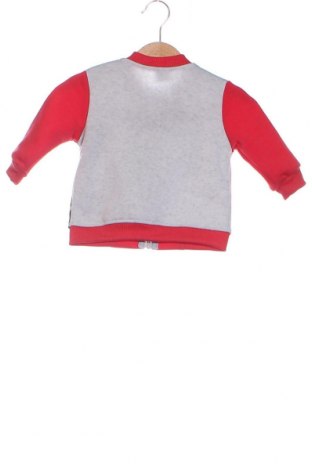 Dziecięca sportowa bluza Disney, Rozmiar 6-9m/ 68-74 cm, Kolor Kolorowy, Cena 24,63 zł