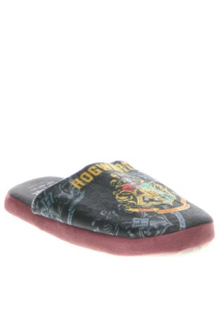 Pantoffeln Harry Potter, Größe 31, Farbe Mehrfarbig, Preis € 61,86