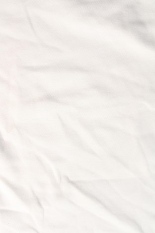 Ανδρική μπλούζα, Μέγεθος XXL, Χρώμα Εκρού, Τιμή 5,52 €