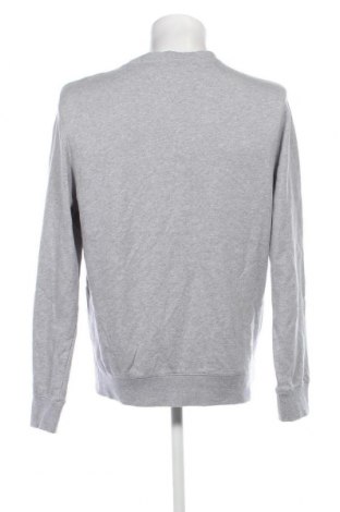 Herren Shirt Biaggini, Größe L, Farbe Grau, Preis 13,22 €