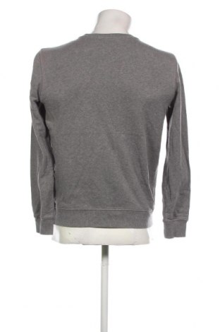 Ανδρική μπλούζα Calvin Klein Jeans, Μέγεθος S, Χρώμα Γκρί, Τιμή 28,21 €