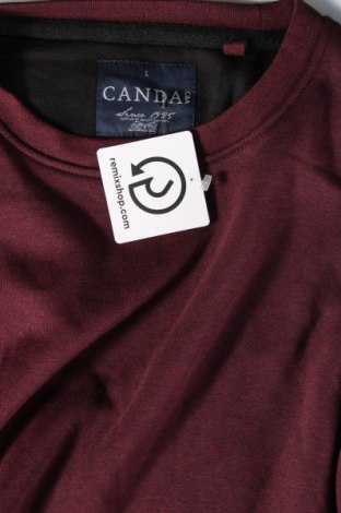 Herren Shirt Canda, Größe L, Farbe Rot, Preis € 5,49