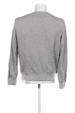 Herren Shirt CedarWood State, Größe L, Farbe Grau, Preis € 5,29