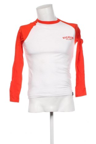 Ανδρική μπλούζα Dickies, Μέγεθος XXS, Χρώμα Λευκό, Τιμή 7,52 €