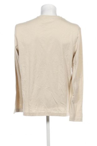 Herren Shirt Dressmann, Größe XL, Farbe Beige, Preis € 7,52