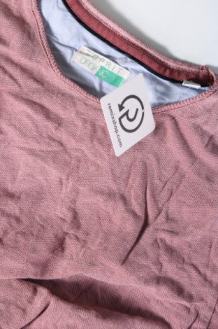 Herren Shirt Esprit, Größe L, Farbe Rosa, Preis 18,79 €