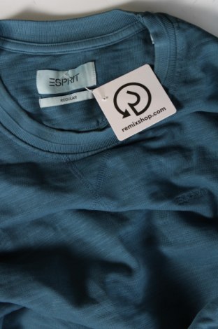 Herren Shirt Esprit, Größe L, Farbe Blau, Preis € 6,95