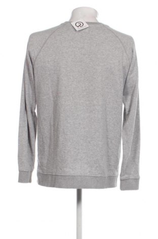 Ανδρική μπλούζα O'neill, Μέγεθος L, Χρώμα Γκρί, Τιμή 29,69 €