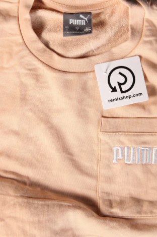Ανδρική μπλούζα PUMA, Μέγεθος S, Χρώμα  Μπέζ, Τιμή 10,52 €
