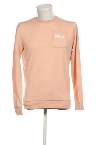 Ανδρική μπλούζα PUMA, Μέγεθος S, Χρώμα  Μπέζ, Τιμή 12,62 €