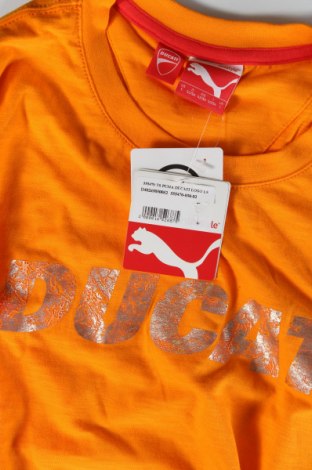 Pánské tričko  PUMA, Velikost L, Barva Oranžová, Cena  675,00 Kč