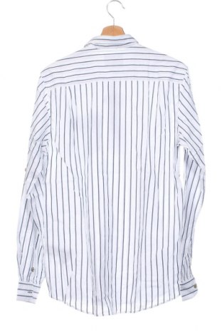Herren Shirt Springfield, Größe M, Farbe Weiß, Preis € 17,58