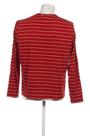 Herren Shirt Springfield, Größe L, Farbe Rot, Preis 7,52 €