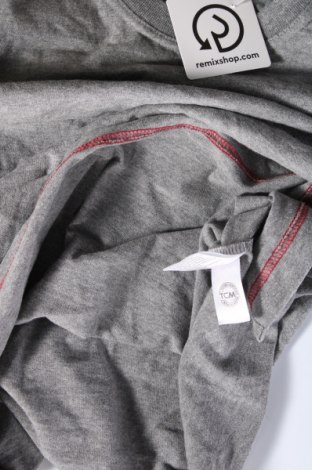 Ανδρική μπλούζα TCM, Μέγεθος M, Χρώμα Γκρί, Τιμή 4,23 €