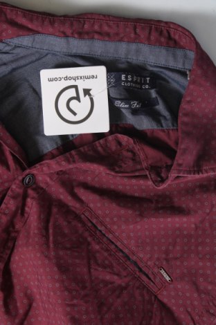 Herrenhemd Esprit, Größe M, Farbe Schwarz, Preis 4,73 €