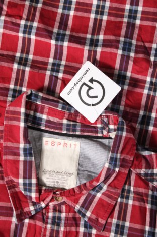 Herrenhemd Esprit, Größe XL, Farbe Mehrfarbig, Preis € 7,81