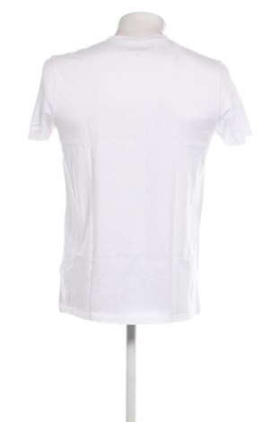 Herren T-Shirt Hollister, Größe M, Farbe Weiß, Preis 15,98 €