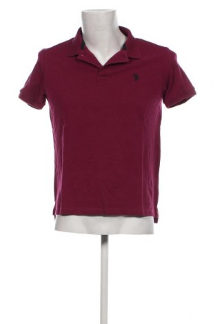 Ανδρικό t-shirt U.S. Polo Assn., Μέγεθος L, Χρώμα Βιολετί, Τιμή 28,87 €