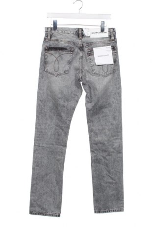Blugi de bărbați Calvin Klein Jeans, Mărime S, Culoare Gri, Preț 333,88 Lei