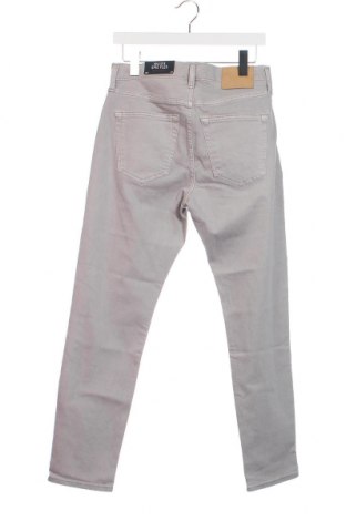 Herren Jeans Hollister, Größe S, Farbe Grau, Preis 7,19 €