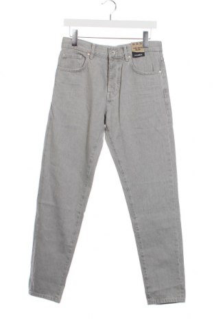 Herren Jeans Pull&Bear, Größe S, Farbe Grau, Preis 12,33 €