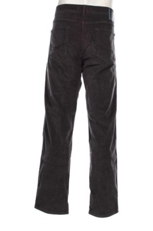 Pantaloni raiați de bărbați Pierre Cardin, Mărime XL, Culoare Gri, Preț 81,58 Lei