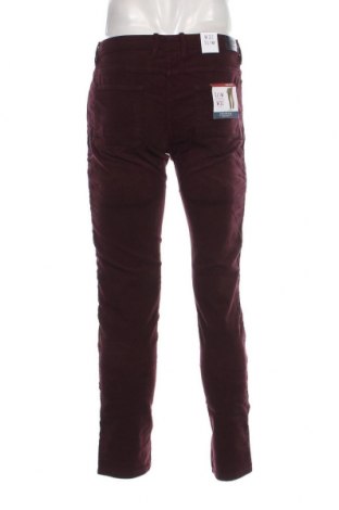 Herren Cordhose Springfield, Größe M, Farbe Rot, Preis € 11,99