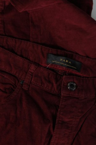 Herren Cordhose Zara Man, Größe M, Farbe Rot, Preis € 3,76