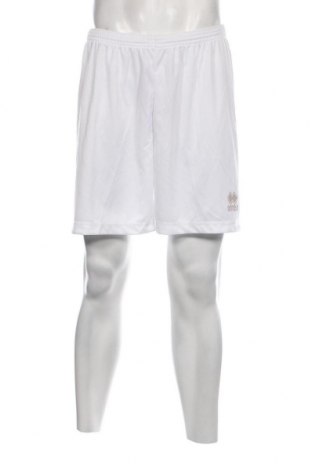 Ανδρικό κοντό παντελόνι Errea, Μέγεθος XL, Χρώμα Λευκό, Τιμή 12,99 €