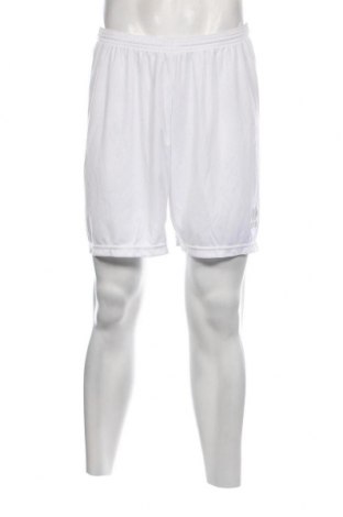 Ανδρικό κοντό παντελόνι Errea, Μέγεθος XL, Χρώμα Λευκό, Τιμή 12,99 €