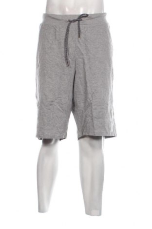 Ανδρικό κοντό παντελόνι Livergy, Μέγεθος XL, Χρώμα Γκρί, Τιμή 9,28 €