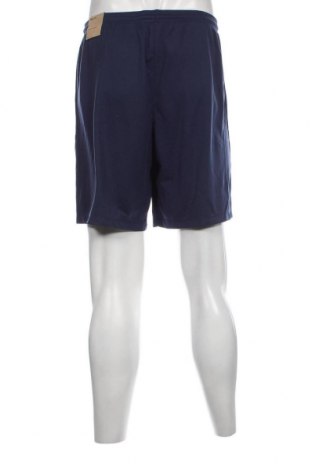 Мъжки къс панталон Nike, Размер L, Цвят Син, Цена 77,00 лв.