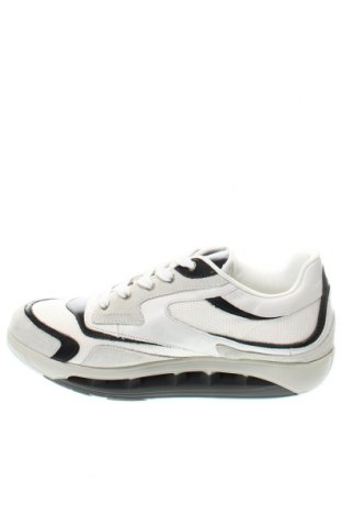 Ανδρικά παπούτσια Scholl, Μέγεθος 45, Χρώμα Πολύχρωμο, Τιμή 26,70 €