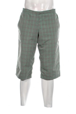 Мъжки панталон Alpine Pro, Размер L, Цвят Многоцветен, Цена 26,65 лв.