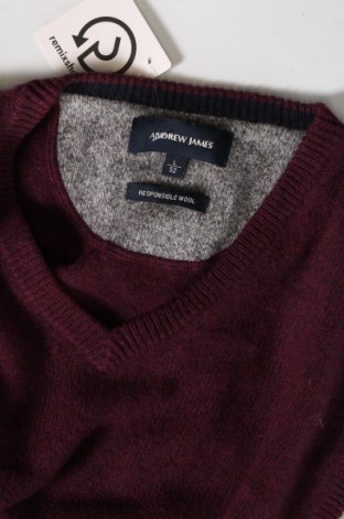 Herrenpullover Andrew James, Größe L, Farbe Lila, Preis € 32,36