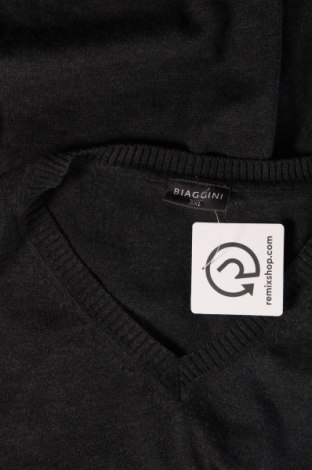 Ανδρικό πουλόβερ Biaggini, Μέγεθος 3XL, Χρώμα Γκρί, Τιμή 9,87 €