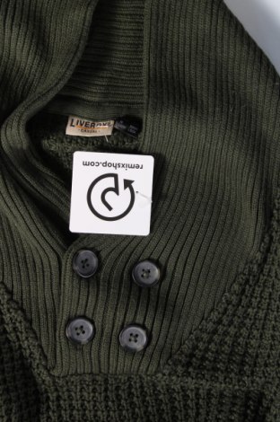 Ανδρικό πουλόβερ Livergy, Μέγεθος L, Χρώμα Πράσινο, Τιμή 8,43 €