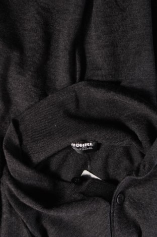 Ανδρικό πουλόβερ Wohrl, Μέγεθος M, Χρώμα Γκρί, Τιμή 8,14 €