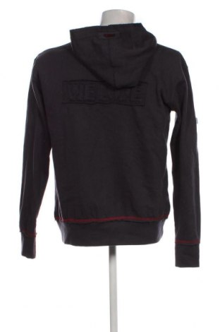 Herren Sweatshirt, Größe L, Farbe Grau, Preis 13,72 €