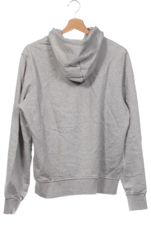 Herren Sweatshirt Diesel, Größe M, Farbe Grau, Preis 234,02 €