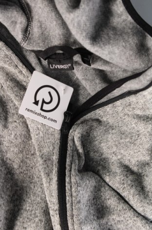 Herren Sweatshirt Livergy, Größe XL, Farbe Grau, Preis € 10,70