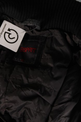 Ανδρικά παλτό Esprit, Μέγεθος L, Χρώμα Γκρί, Τιμή 20,98 €